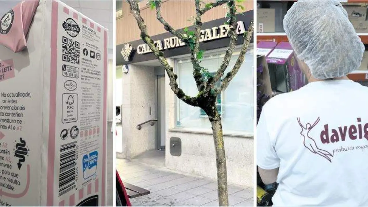 Deleite, Caixa Rural Galega e Daveiga traballan e comunican en galego. (Fotos: Arxina | N&oacute;s Diario)