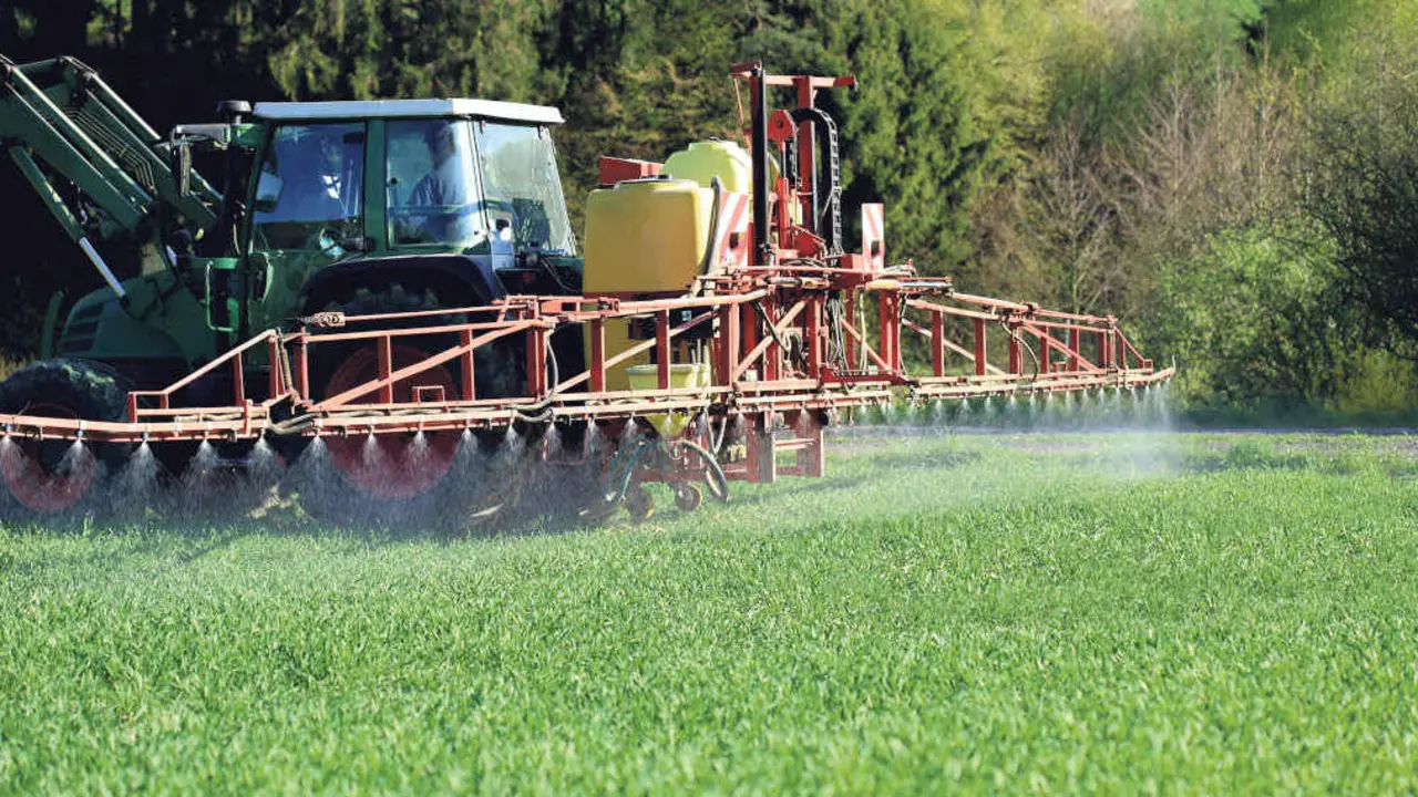 O uso de glifosato como herbicida non selectivo &eacute; com&uacute;n en Europa malia o seu car&aacute;cter nocivo (Foto: N&oacute;s Diario).