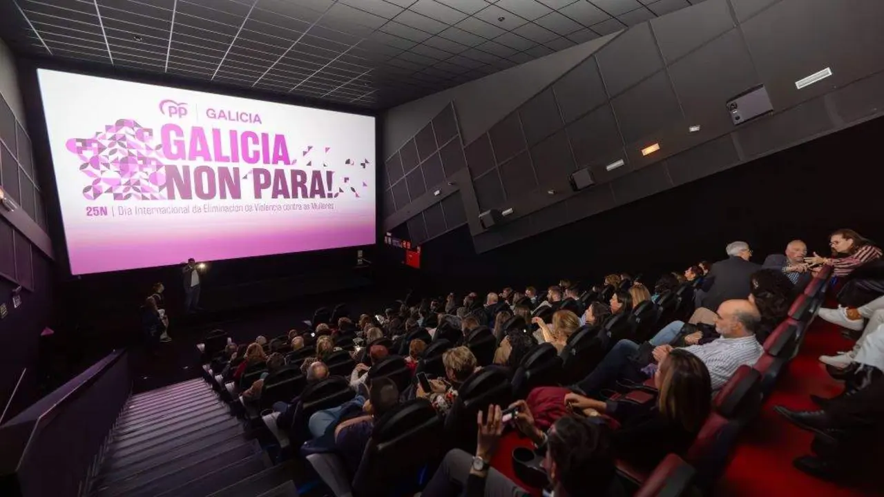 Representantes do PP conmemoraron o 25-N vendo 'Matria'. (Foto: N&oacute;s Diario)