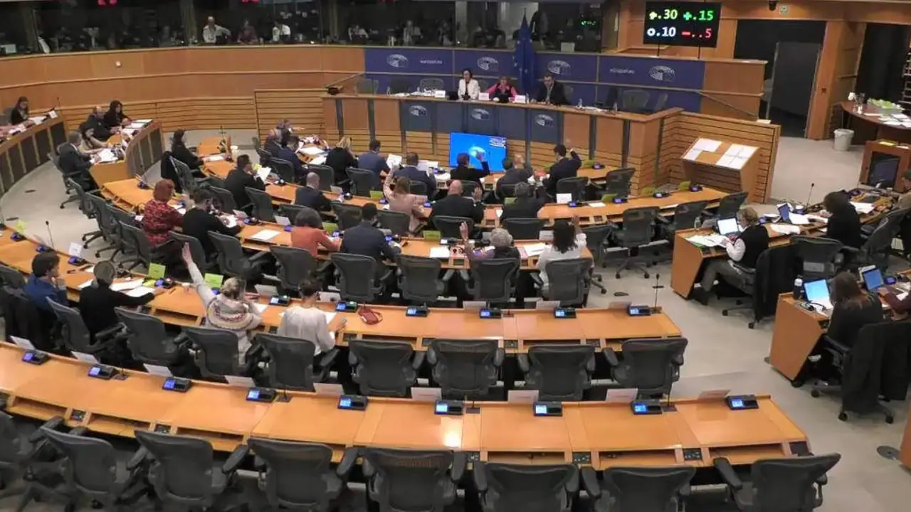 Comisi&oacute;n de Petici&oacute;ns do Parlamento da UE