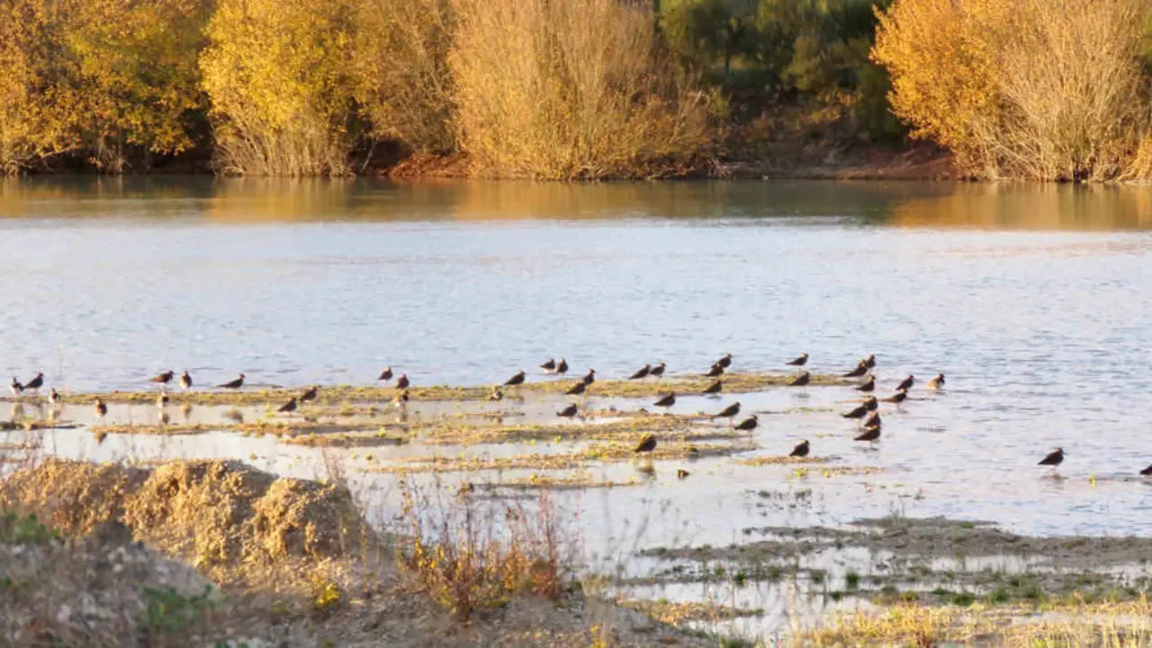 A Lagoa de Antela, na Limia (Foto: Ecoloxistas en Acci&oacute;n).
