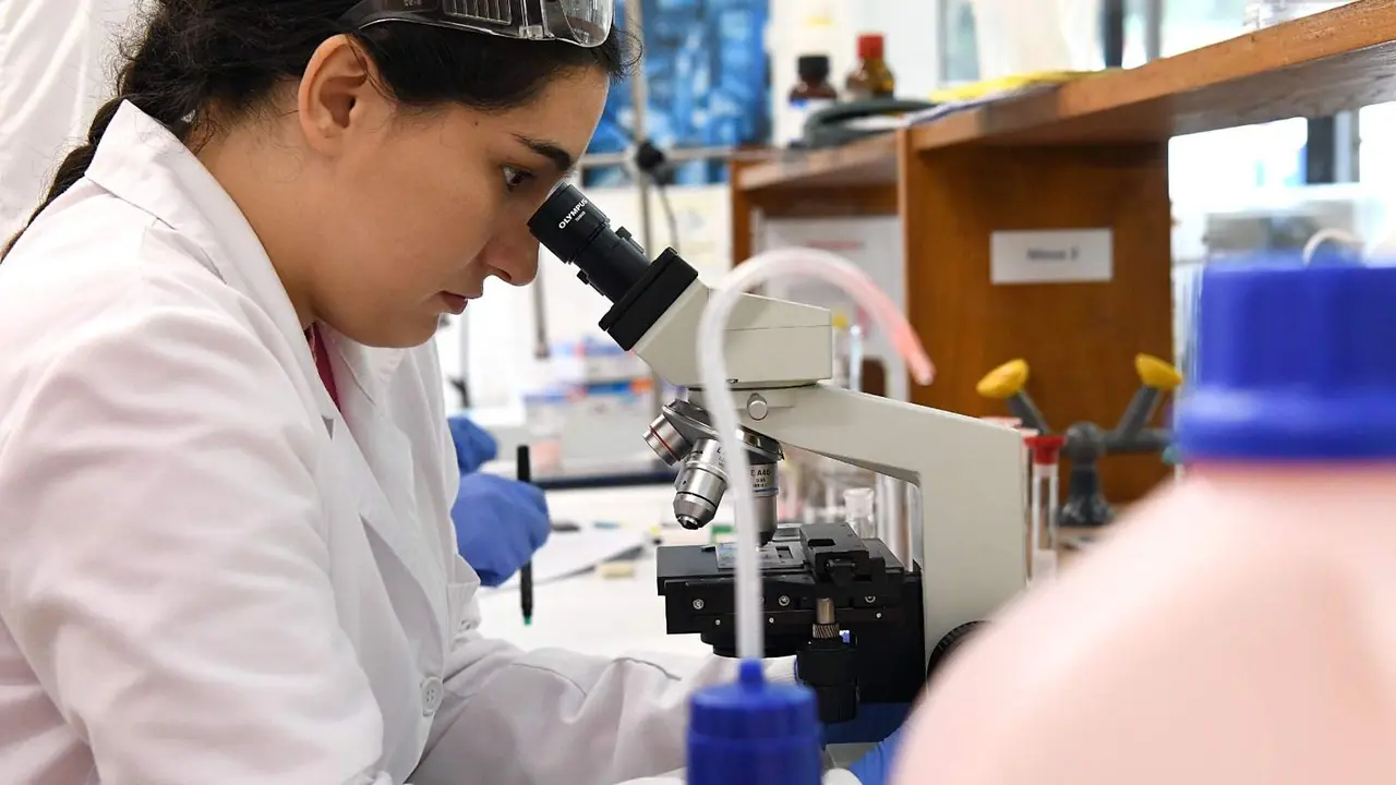 O valor das exportaci&oacute;ns do sector qu&iacute;mico e farmac&eacute;utico incrementouse na &uacute;ltima d&eacute;cada (Foto: USC).