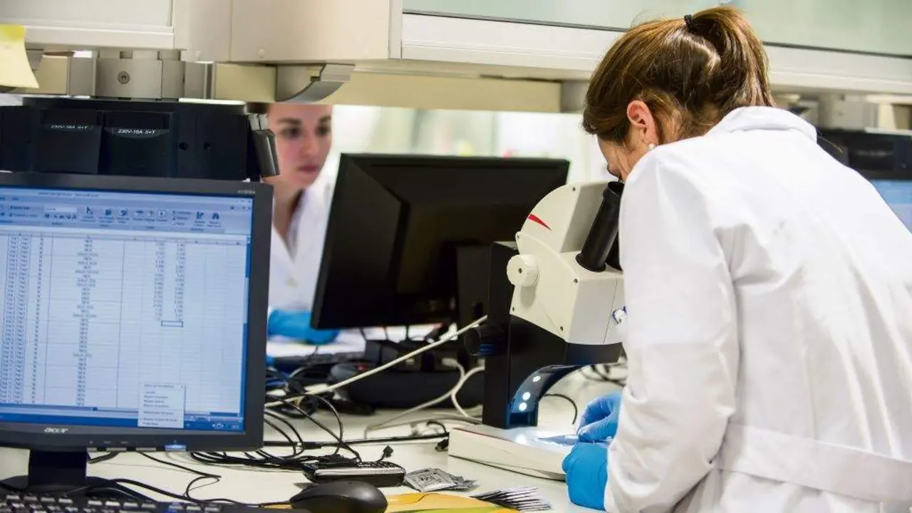 A Galiza mant&eacute;n un investimento en innovaci&oacute;n por baixo da media estatal e europea. (Foto: M. Arrazola)