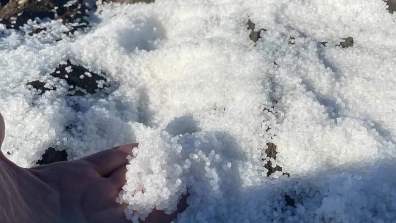 Os pellets encontrados nas r&iacute;as de Arousa e Muros-Noia. (Foto: Noia Limpa).