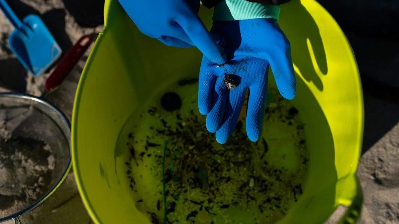 Unha voluntaria recollendo pellets de pl&aacute;stico nunha praia da Coru&ntilde;a. (Foto: Elena Fern&aacute;ndez / Europa Press)