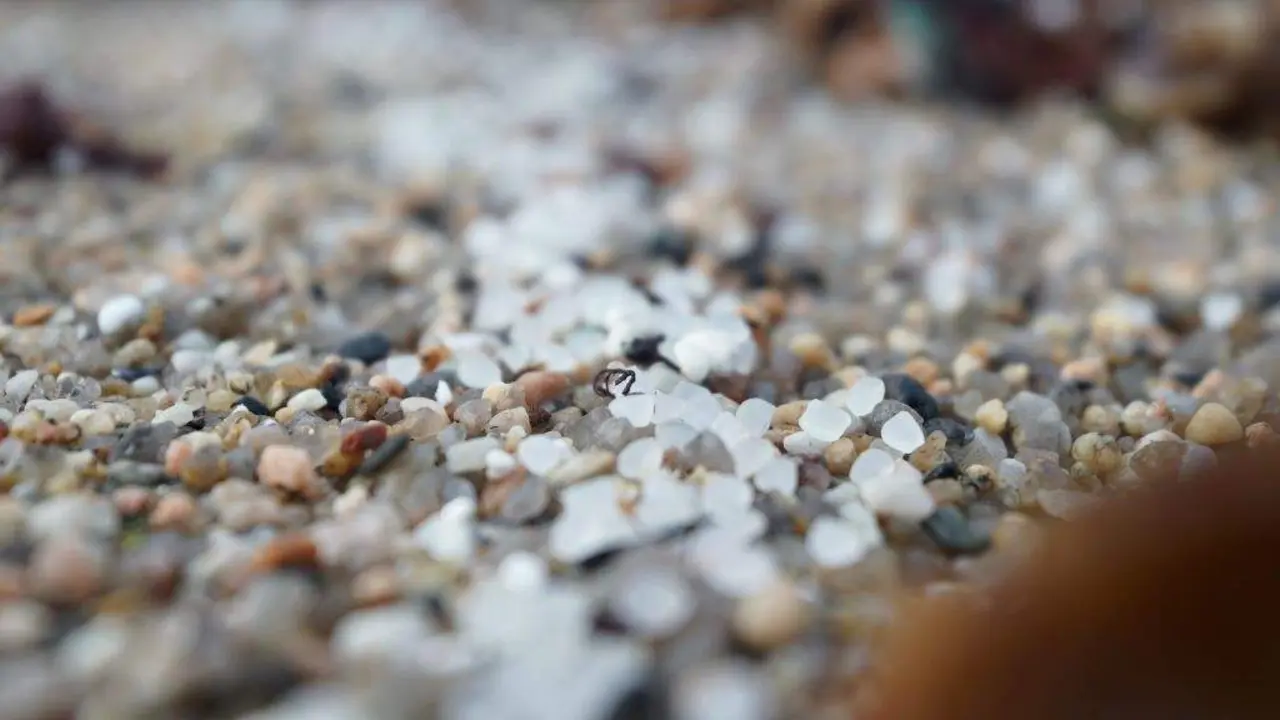 Pellets de pl&aacute;stico na praia coru&ntilde;esa de Sab&oacute;n. (Foto: Gustavo de la Paz / Europa Press)