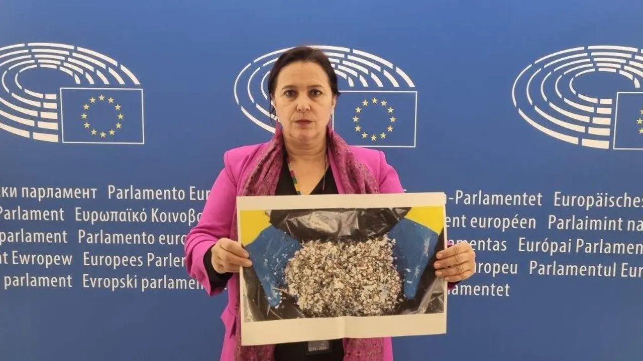 Ana Miranda alertou en Bruxelas da crise que padece Galiza pola chegada constante de pellets de pl&aacute;stico. (Foto: N&oacute;s Diario)