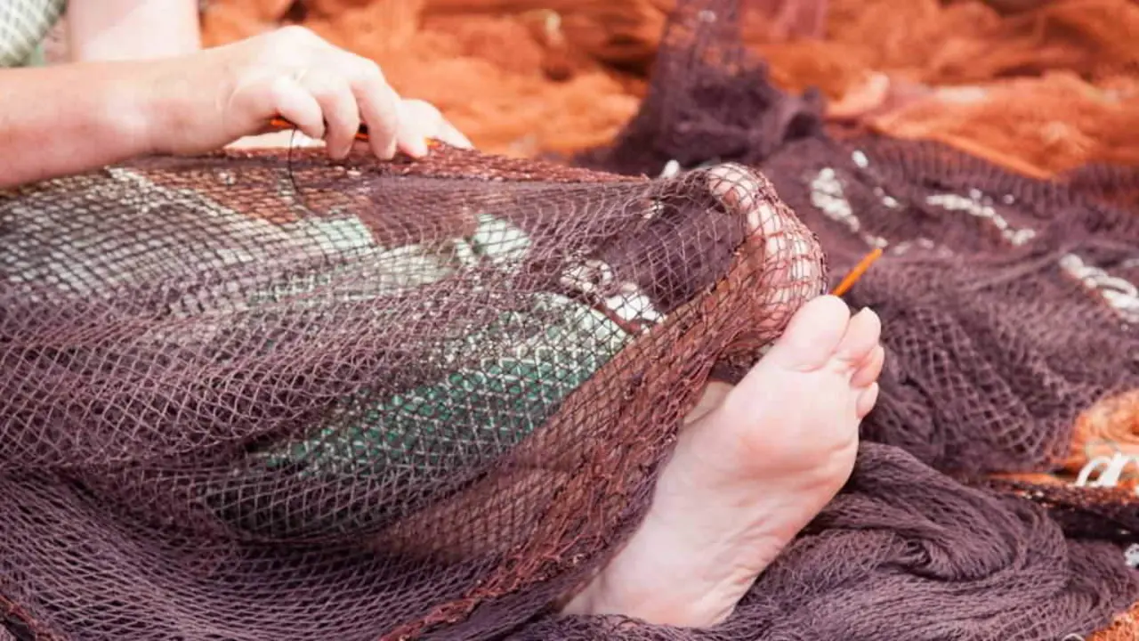 Hai pobos neste mundo que tam&eacute;n comen peixe, que saben pescar tan ben ou mellor ca n&oacute;s. (Foto: Benito Juncal).
