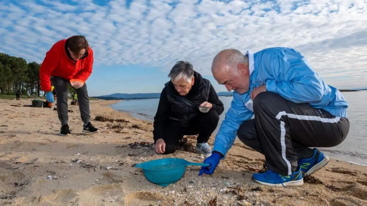 Voluntarios e persoal de Tragsa recollendo pellets dunha praia da Pobra do Carami&ntilde;al. (Foto: Arxina)