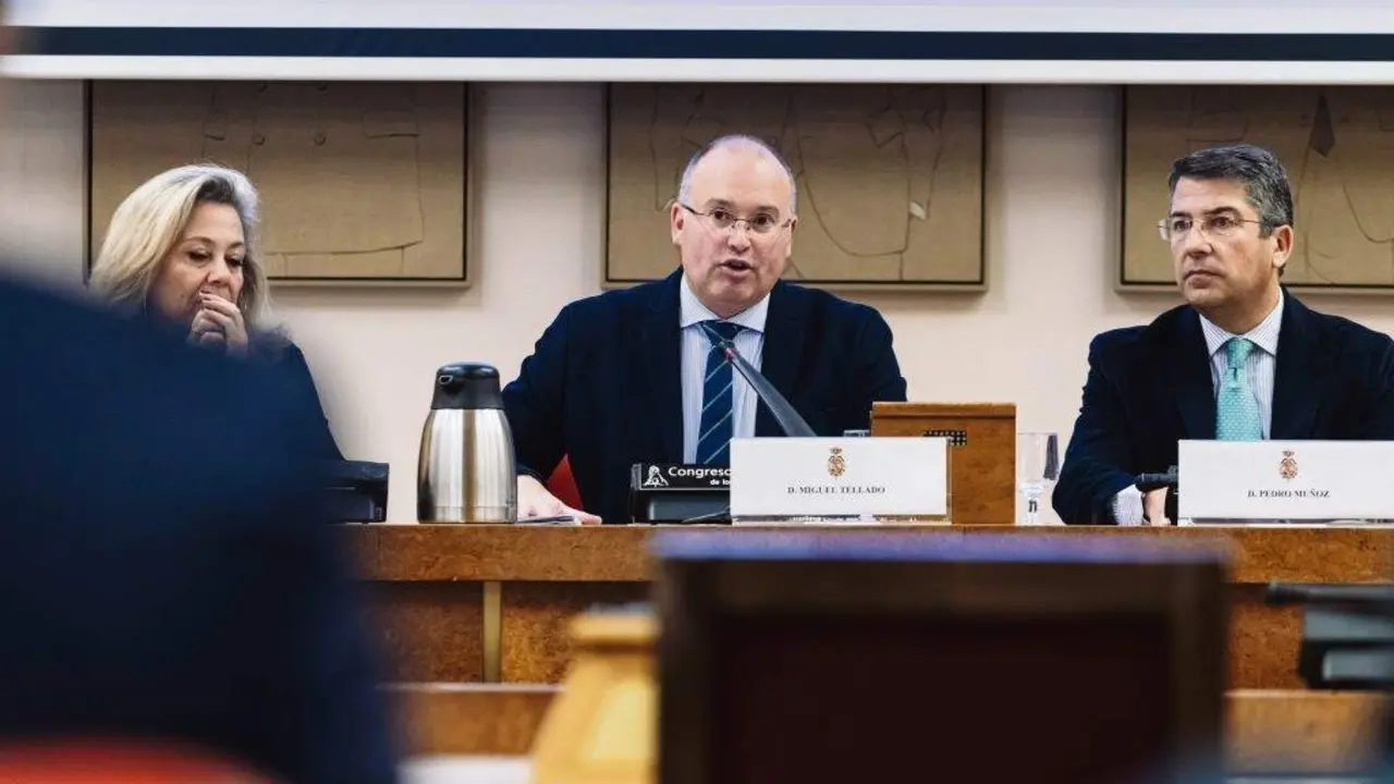 O portavoz do grupo parlamentario do PP no Congreso espa&ntilde;ol, Miguel Tellado, esta quinta feira na mesa de xuristas de Estado de dereito e amnist&iacute;a. (Foto: Carlos Luj&aacute;n / Europa Press)
