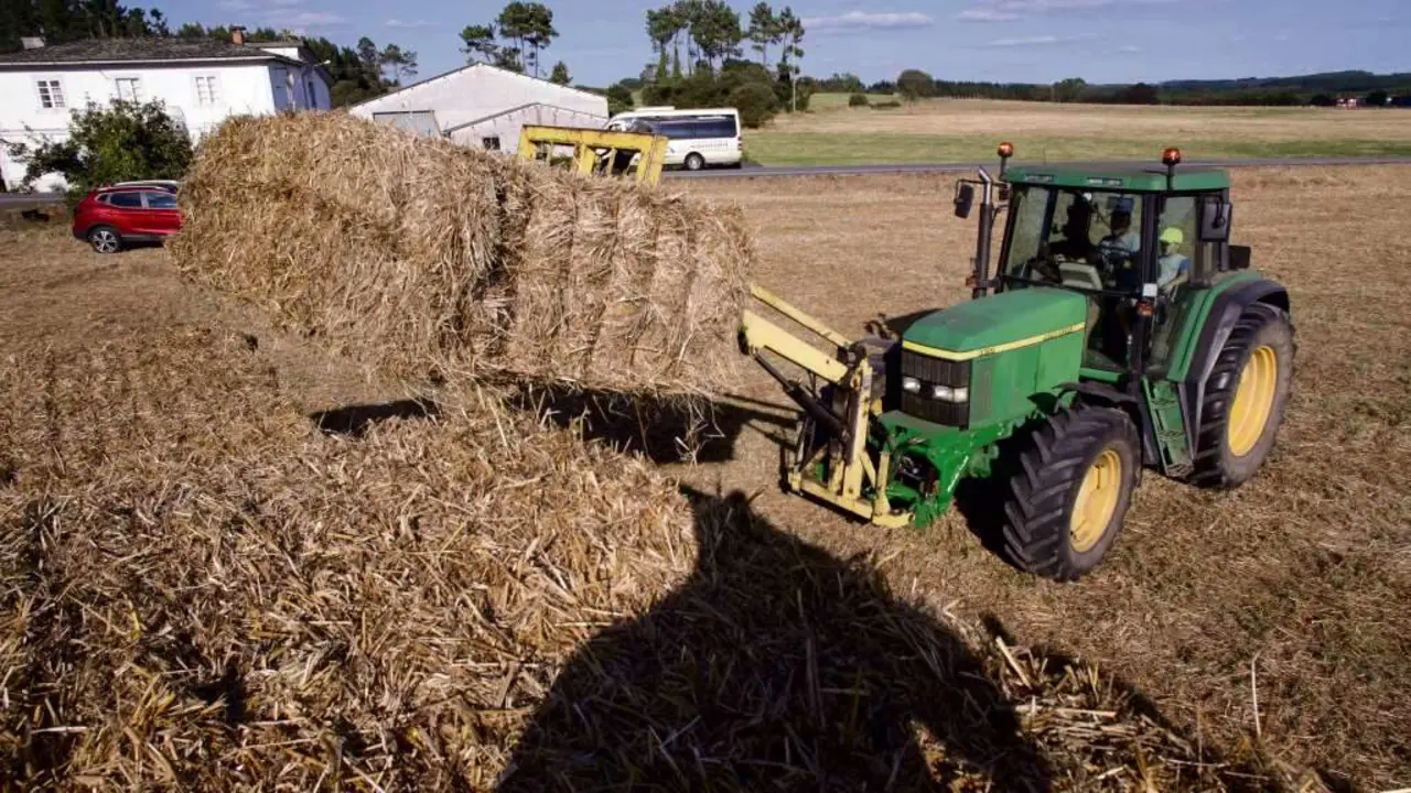 Tractor durante a recollida de trigo na  parroquia de Calvo, en Abad&iacute;n (A Terra Ch&aacute;). [Foto: Carlos Castro / Europa Press]
