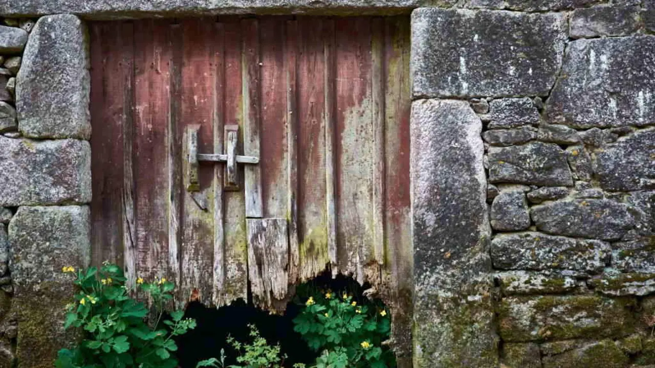 Porta de entrada dunha casa abandonada no lugar de Ba&iacute;nte, Vilamart&iacute;n, comarca de Valdeorras. (Foto: Eduardo Accorinti).