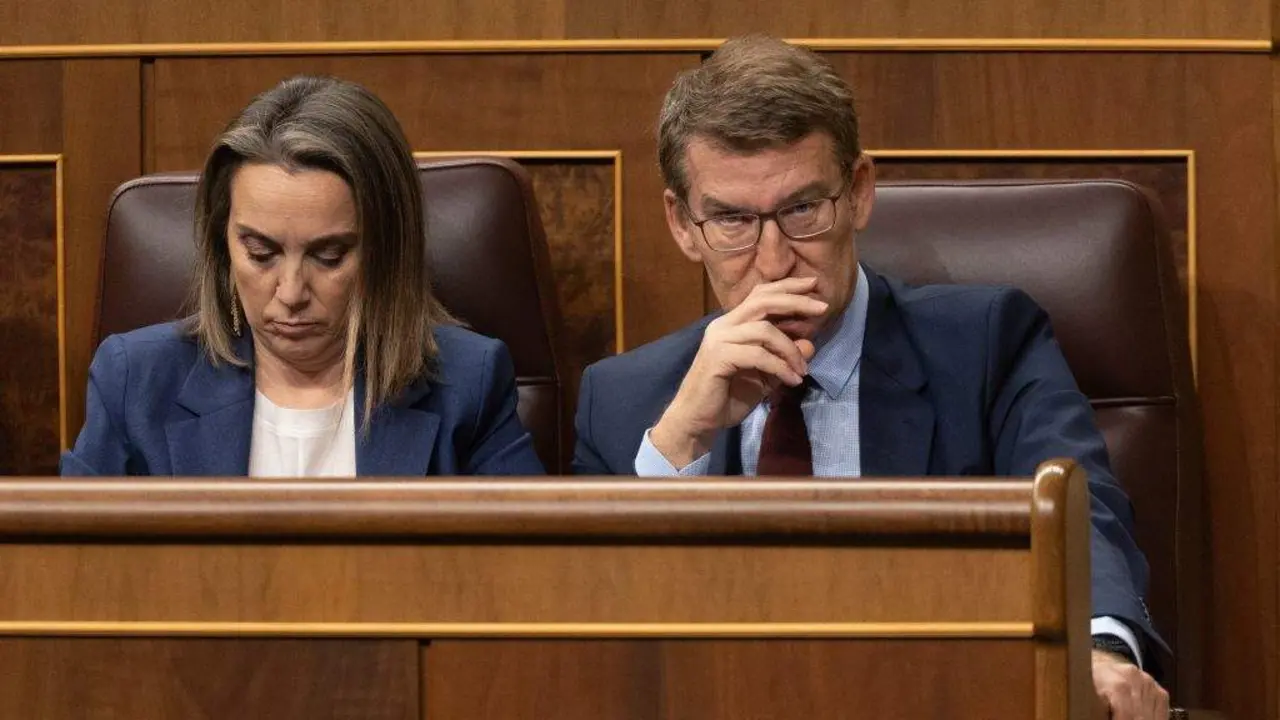 Cuca Gamarra e Alberto N&uacute;&ntilde;ez Feixoo, no Congreso. (Foto: Eduardo Parra / Europa Press)