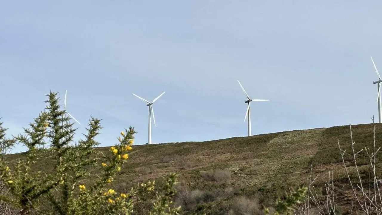 Pol&iacute;gono e&oacute;lico na Serra do Su&iacute;do. (Foto: N. B.).