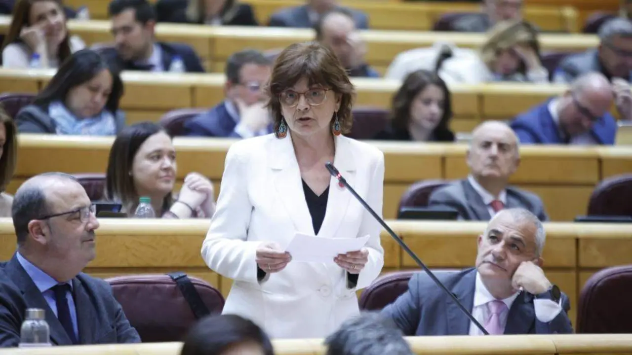 A senadora do BNG, Carme da Silva (Foto: N&oacute;s Diario).