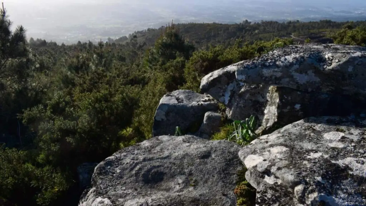 Petr&oacute;glifo de c&iacute;rculos conc&eacute;ntricos e p&iacute;a cadrada, bens identificados pola veci&ntilde;anza no monte Acibal. (Foto: N&oacute;s Diario)
