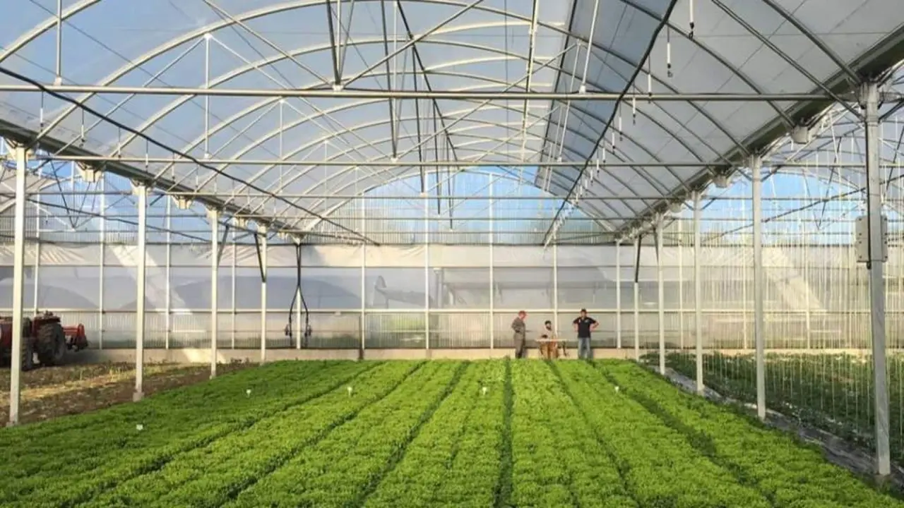 Invernadoiro de agricultura ecol&oacute;xica en Cerceda (comarca de Ordes). (Foto: Horta da Lousa)