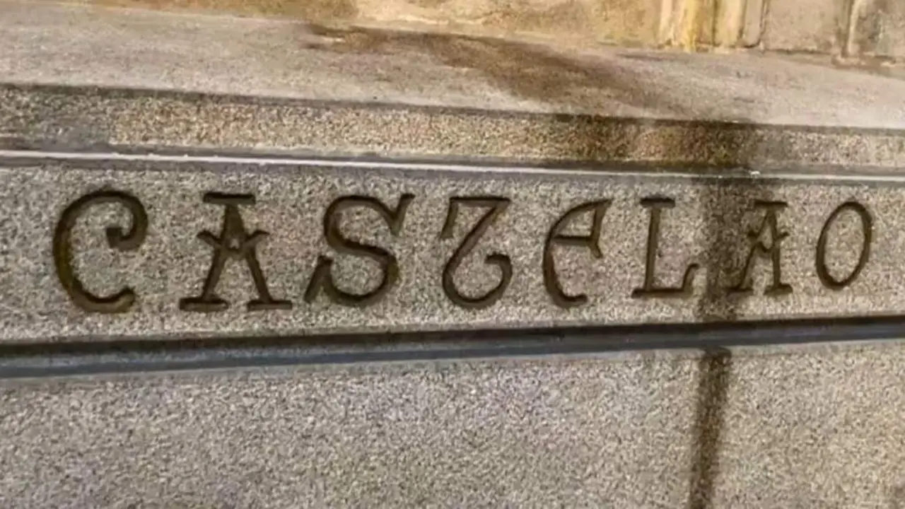 Pingueiras sobre o sepulcro de Castelao, no Pante&oacute;n de Galegas Ilustres. (Foto: N&oacute;s Diario)