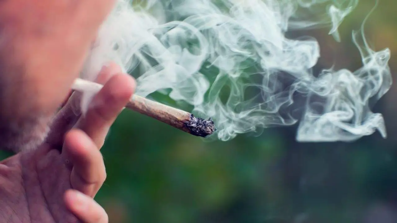 Todos os focos viran cara Alema&ntilde;a ap&oacute;s legalizar o consumo de c&aacute;nnabis. (Foto: N&oacute;s Diario)