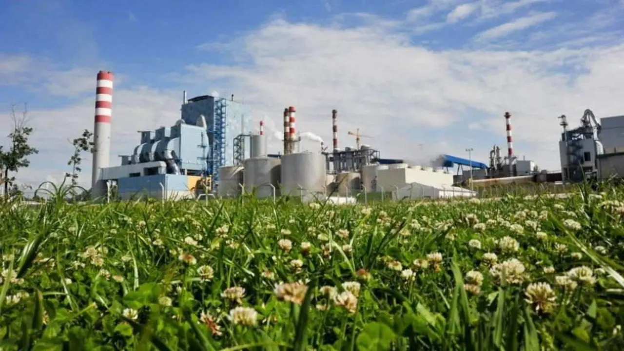 Planta de celulosa de Altri en Figueira da Foz (distrito de Coimbra), en Portugal. (Foto: Altri).