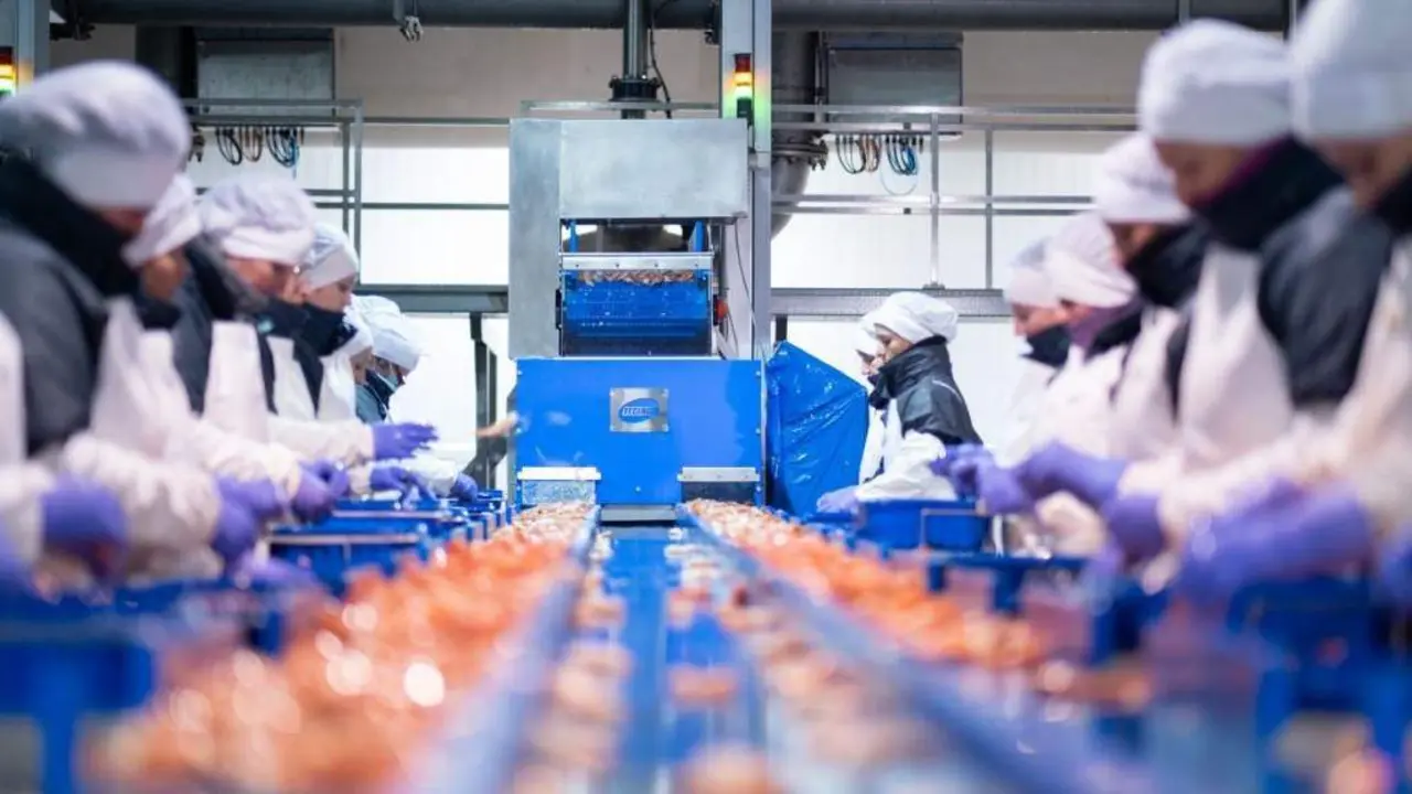 M&aacute;is de 11.000 persoas 
na Galiza traballan no 
sector da conserva (Foto: Xunta).