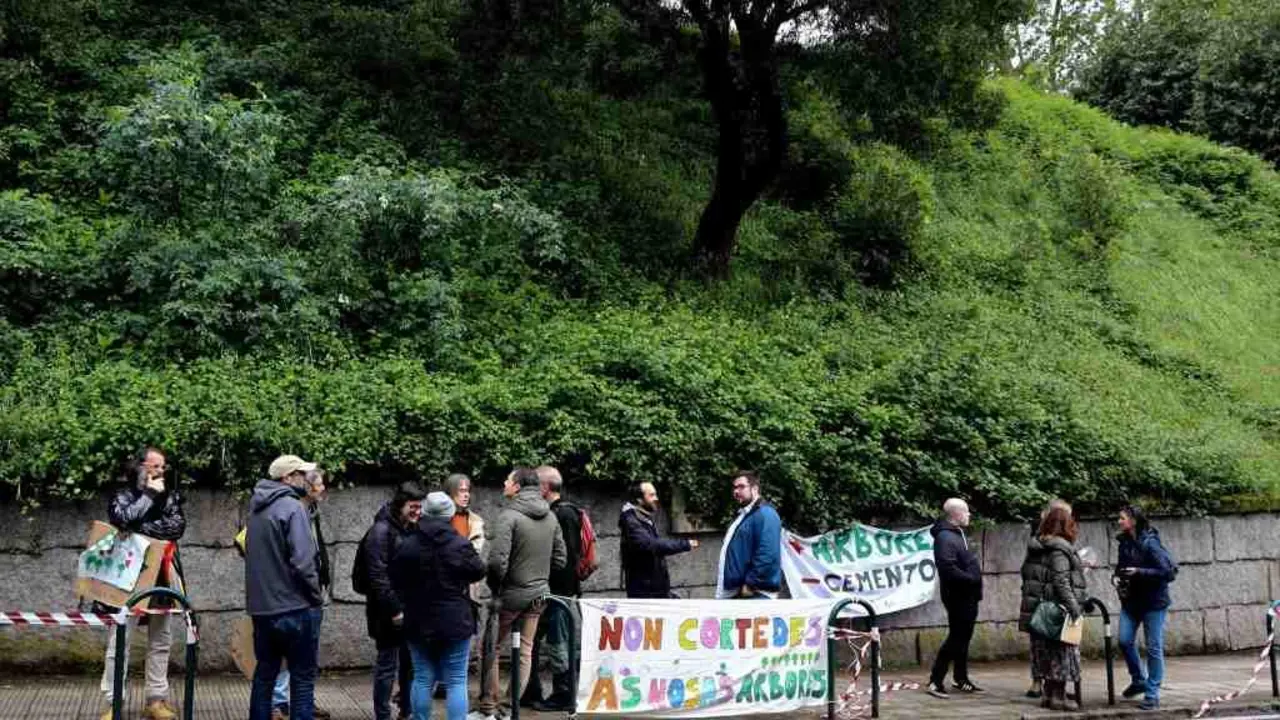 Concentraci&oacute;n contra a corta de &aacute;rbores en Vigo (Foto: N&oacute;s Diario).
