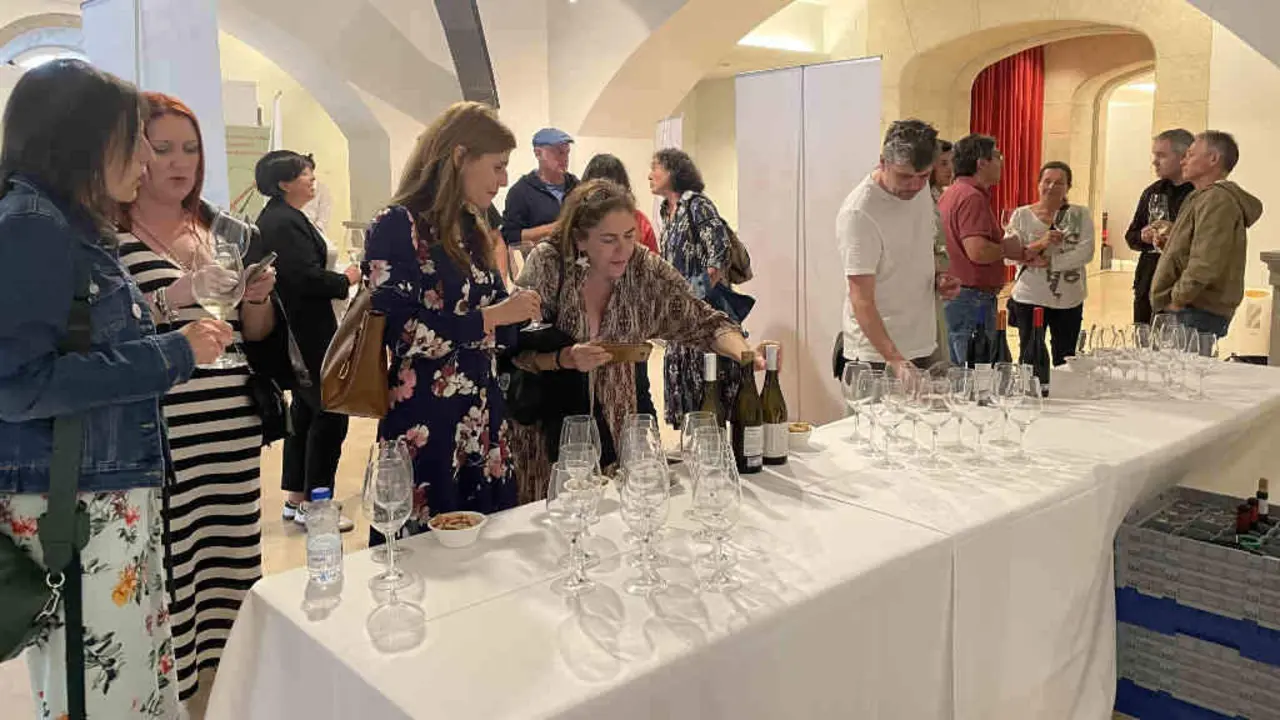 Asistentes esta sexta feira ao acto de promoci&oacute;n da IXP Terras do Navia na sala de exposici&oacute;ns da Deputaci&oacute;n de Lugo, na cidade das murallas (Foto: N&oacute;s Diario).