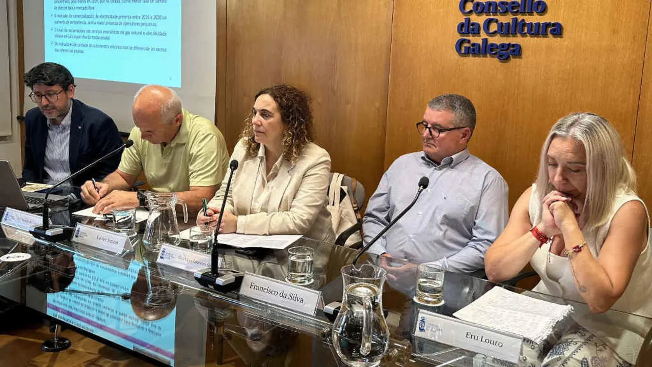 A mesa redonda no Consello da Cultura coa participaci&oacute;n de Fernando del Llano, Xavier Sim&oacute;n Francisco da Silva e Erundina Louro (Foto: N&oacute;s Diario).