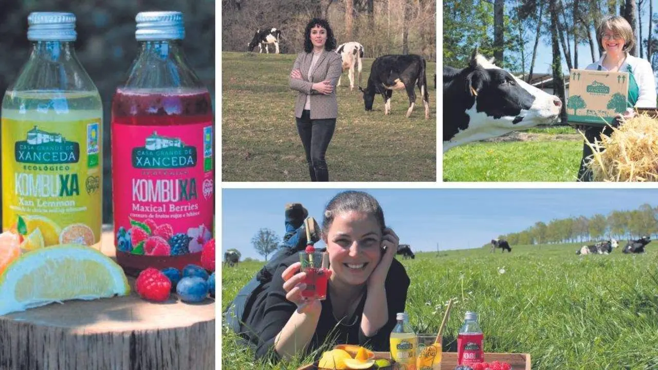 A kombucha &eacute; unha bebida saud&aacute;bel, feita con t&eacute; verde, azucre de cana e o fungo 'scoby'.