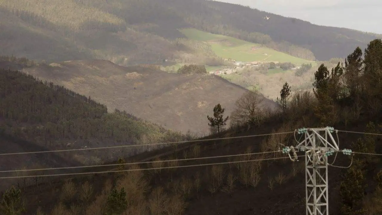 EuropaPress_5090344_monte_quemado_incendio_forestal_30_marzo_2023_baleira_lugo_galicia_espana