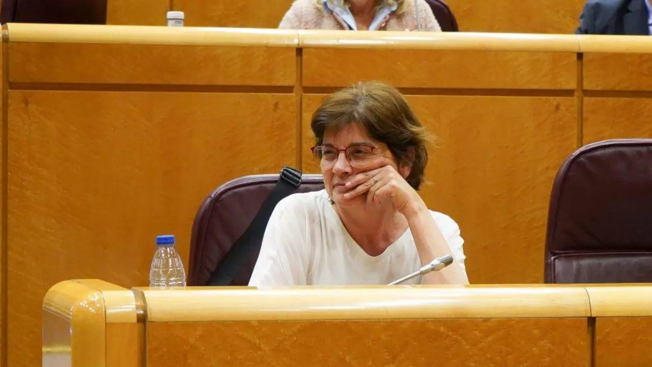 A senadora do BNG, Carme da Silva. (Foto: N&oacute;s Diario)
