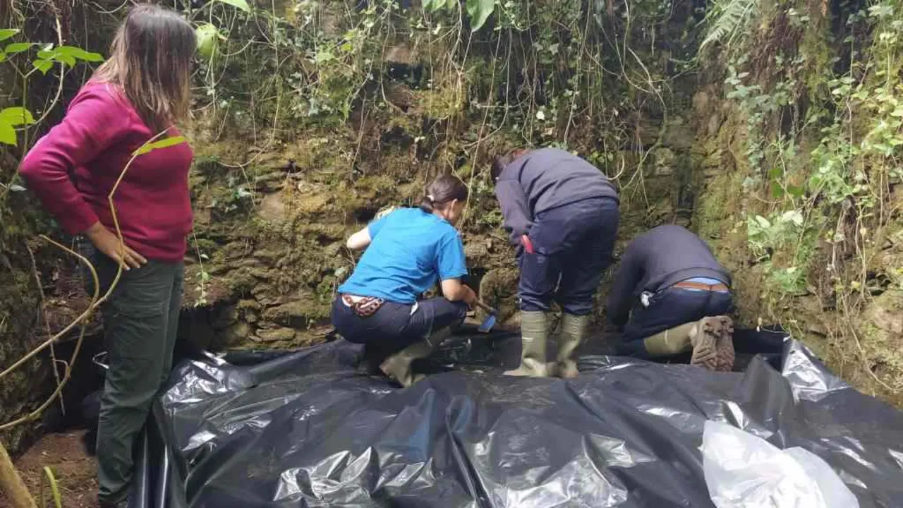 Voluntariado ambiental, esta terza feura na contorna do Tambre (Foto: Adega).