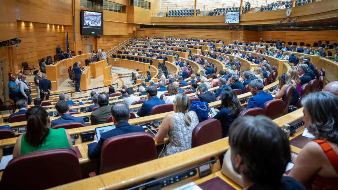 O Senado espa&ntilde;ol ao aprobar onte a remuda no Poder Xudicial. (Foto: Senado espa&ntilde;ol)