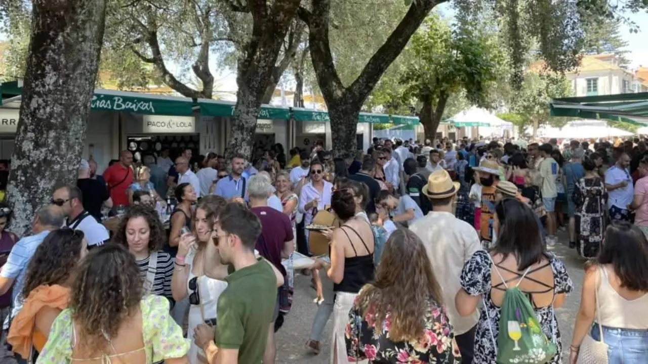Miles de asistentes visitan cada ano Cambados para gozar coa Festa do Albari&ntilde;o. (Foto: Festa do Albari&ntilde;o)