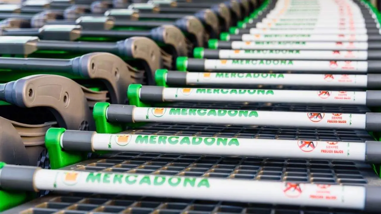 Carros de Mercadona. (Foto: Joaqu&iacute;n Corbal&aacute;n)