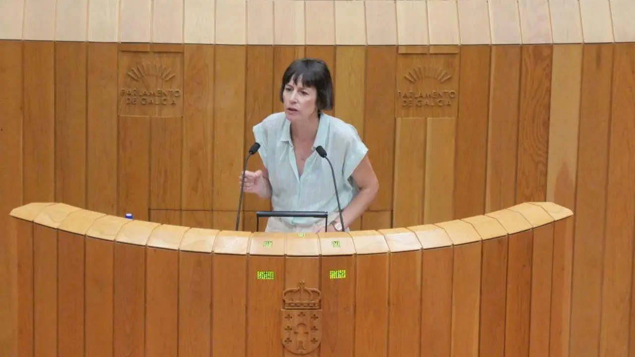Ana Pont&oacute;n. (Foto: N&oacute;s Diario)