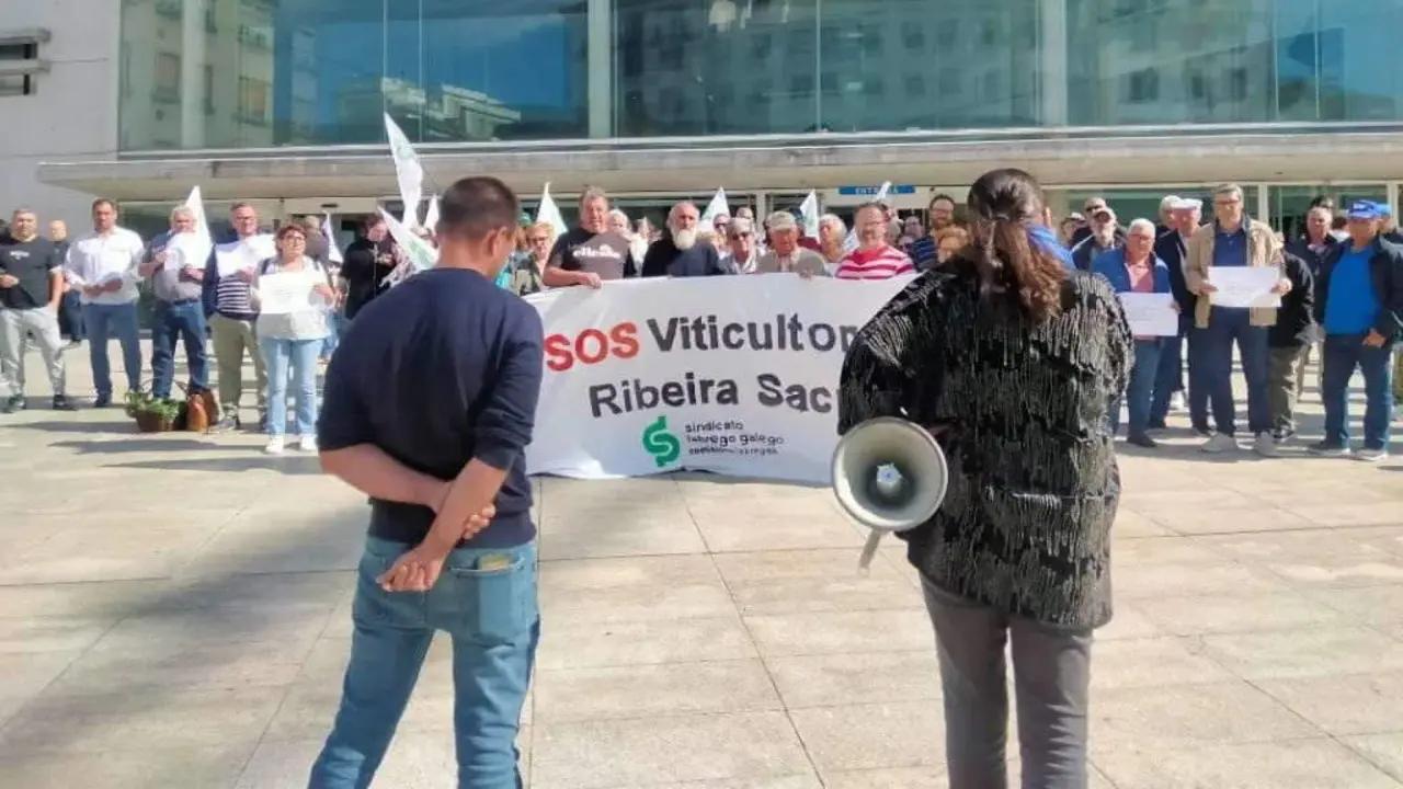 Persoas viticultoras da Ribeira Sacra manifest&aacute;ronse onte ante a sede da Xunta en Lugo para exixir medidas que lles garantan un futuro digno. (Foto: SLG)