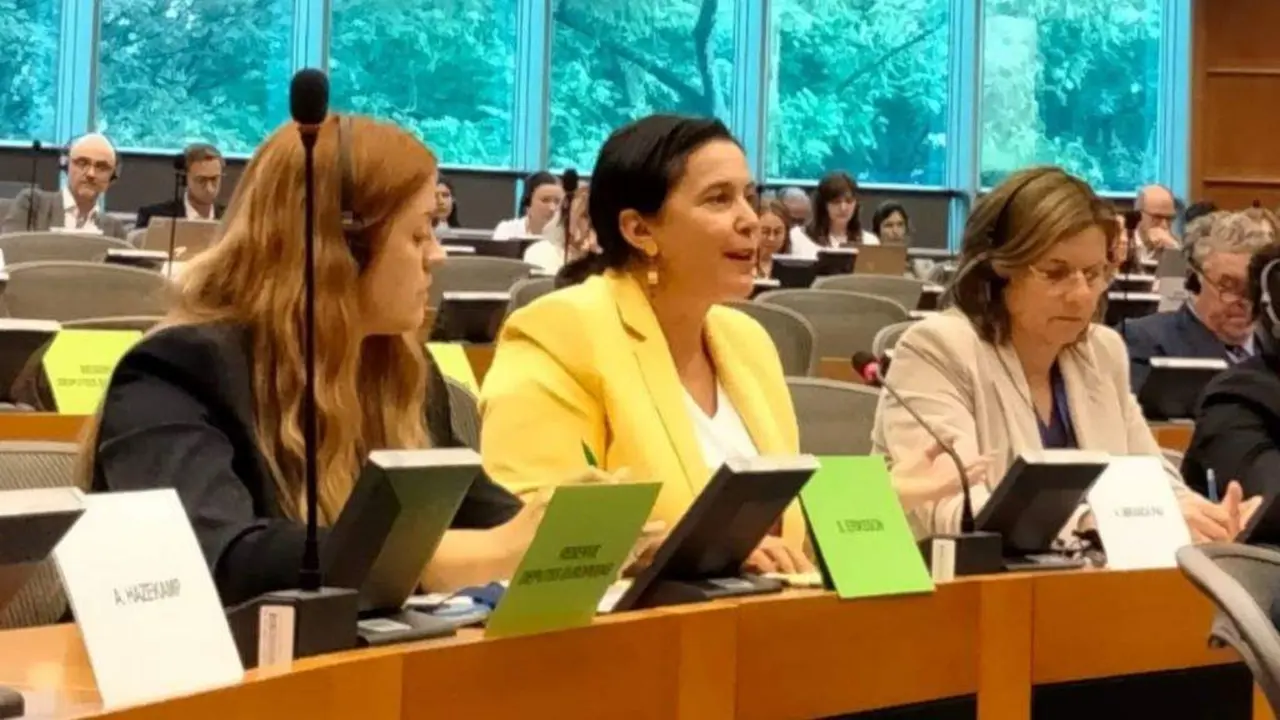 A eurodeputada do BNG, Ana Miranda, esta segunda feira no Parlamento Europeo. (Foto: N&oacute;s Diario)