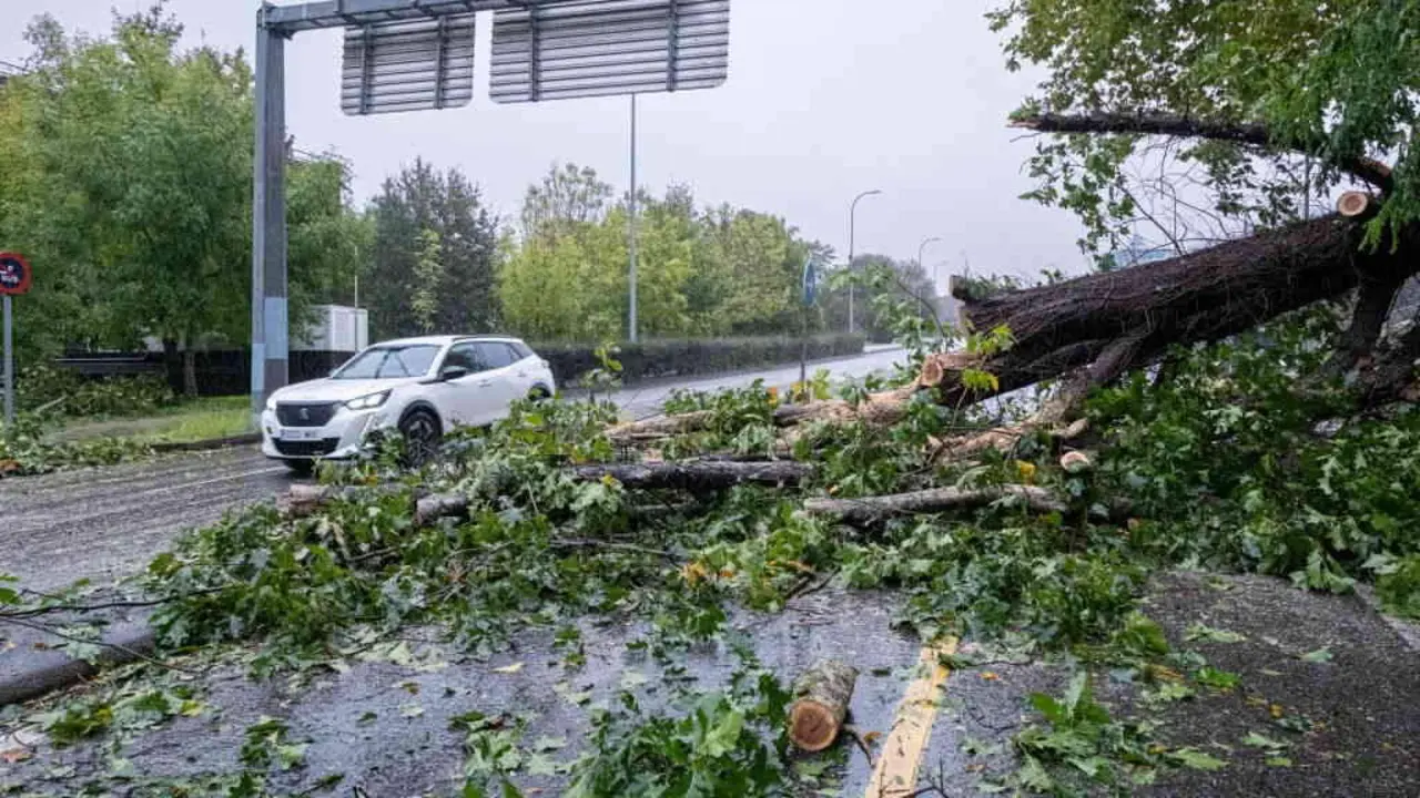 A ca&iacute;da de p&oacute;las e &aacute;rbores complicaron o tr&aacute;fico en varios puntos da Galiza. (Foto: Arxina)