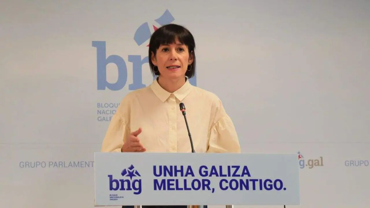 Ana Pont&oacute;n. (Foto: N&oacute;s Diario)