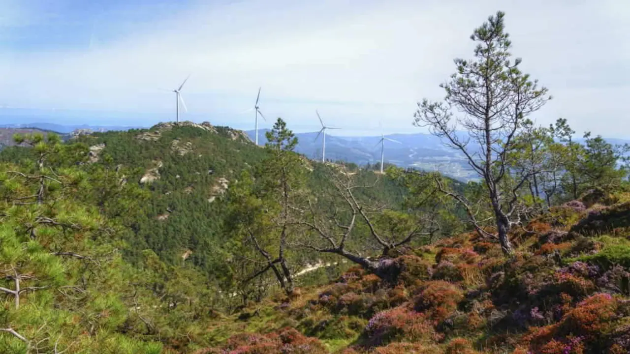 A patronal e&oacute;lica qu&eacute;ixase da repotenciaci&oacute;n obrigatoria dos parques que a Xunta inclu&iacute;u na Lei de acompa&ntilde;amento aos orzamentos. (Foto: Lu&iacute;s Vilanova)