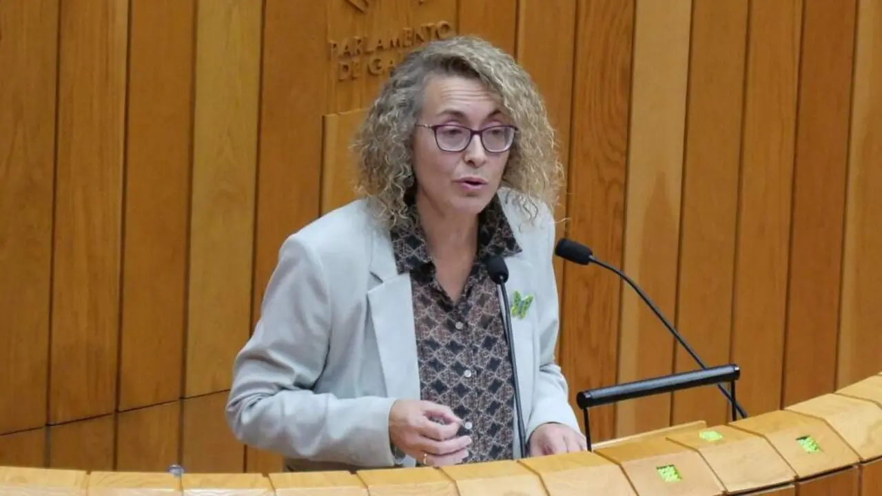 A deputada do BNG no Parlamento galego Cristina Fern&aacute;ndez, nunha imaxe de arquivo. (Foto: N&oacute;s Diario)