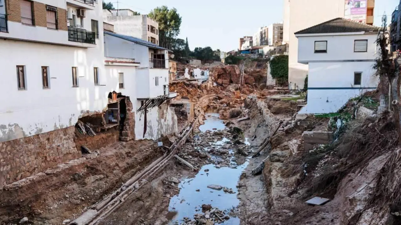 Zona especialmente afectada pola DINA no concello valenciano de Chiva. (Foto: Carlos Luj&aacute;n / Europa Press)
