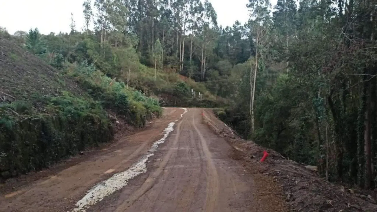 Obras realizadas pola Xunta da Galiza afectan o bosque do Banquete de Conxo e a ribera do r&iacute;o Sar. (Foto: Ecoloxistas en Acci&oacute;n / Conxo Aberto)