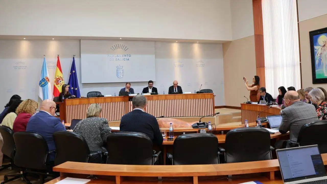 Comparecencia de Fernando Suances no Parlamento da Galiza, na Comisi&oacute;n de Xustiza. (Foto: Parlamento da Galiza)