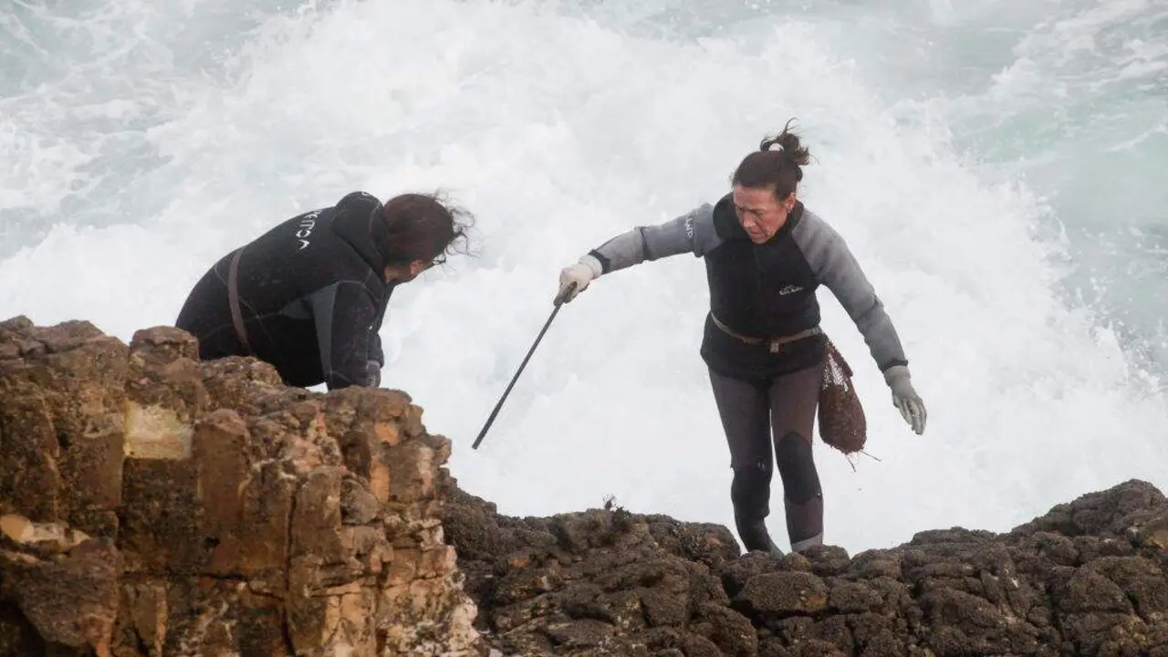 Percebeiras de Rinlo, en Ribadeo (A Mari&ntilde;a), traballan na actualidade no mar bravo. (Foto: Carlos Castro / Europa Press)