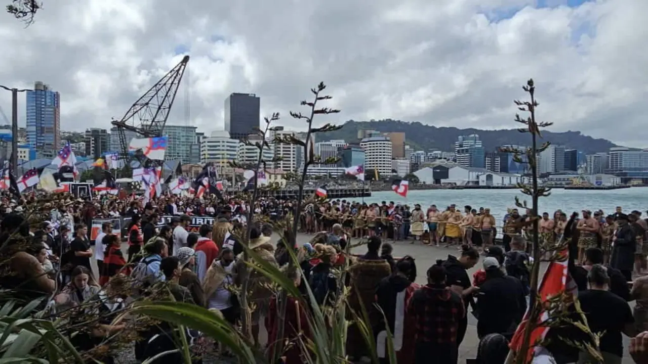 Protesta ante o Parlamento de Nova Zelandia en defensa dos dereitos do pobo maor&iacute;. (Foto: @WildBayNZ)