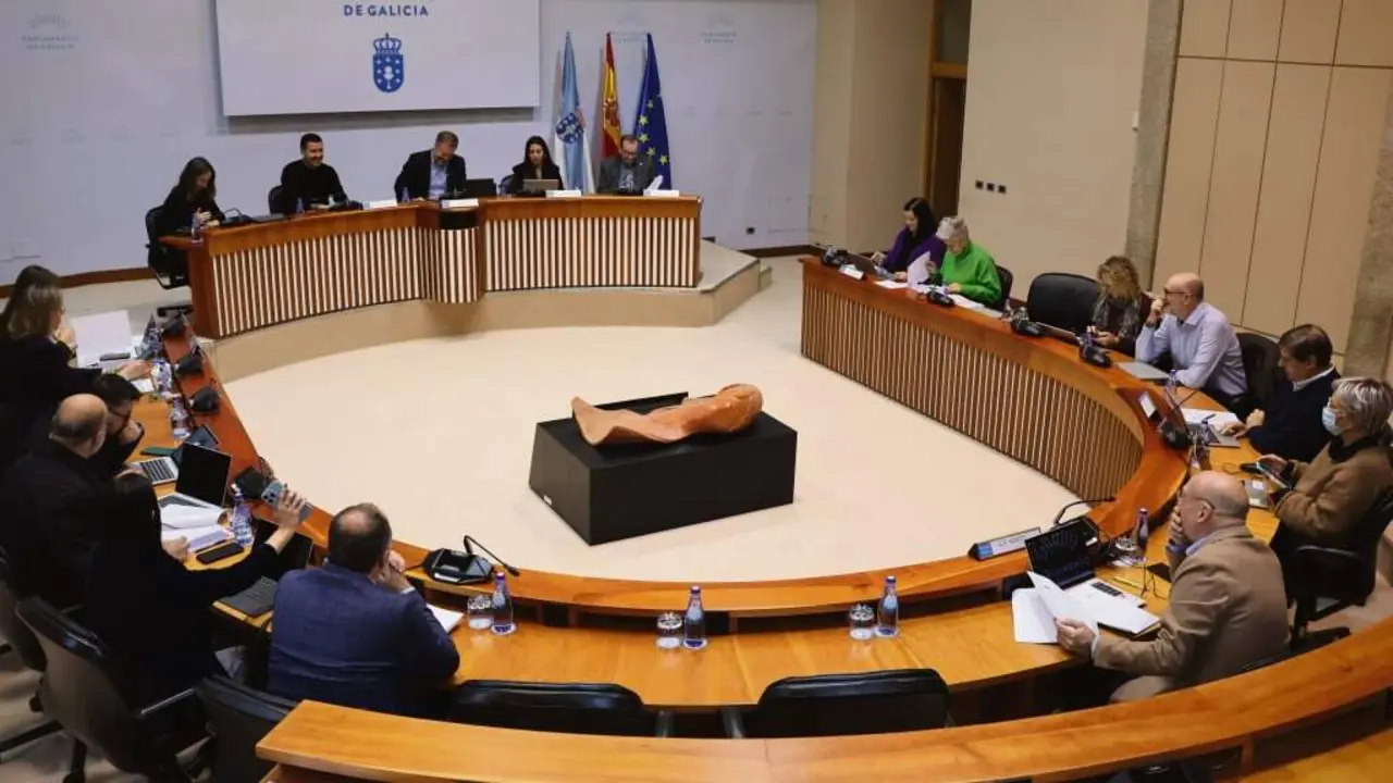 Reuni&oacute;n da Comisi&oacute;n de Educaci&oacute;n e Cultura do Parlamento, esta quinta feira. (Foto: Parlamento da Galiza)