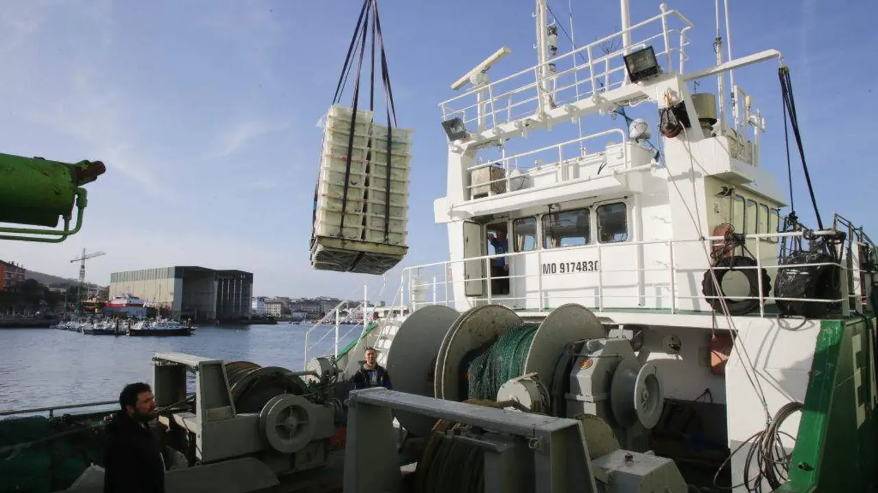 Descarga de xarda no porto de Burela (A Mari&ntilde;a) nunha imaxe de arquivo. (Foto: Carlos Castro / Europa Press)