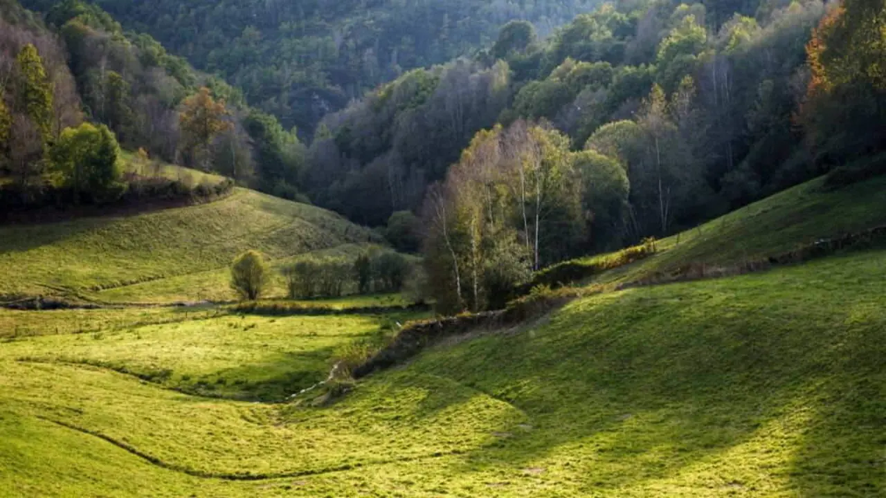 Un chavasqueiro, en Navia de Suarna, nos Ancares, &eacute; prado ru&iacute;n e pequeno. (Foto: Luis Vilanova)